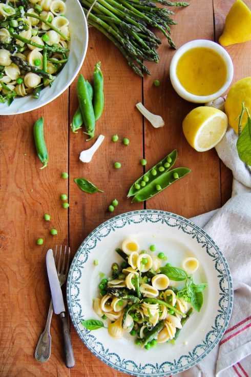 pasta primavera recette