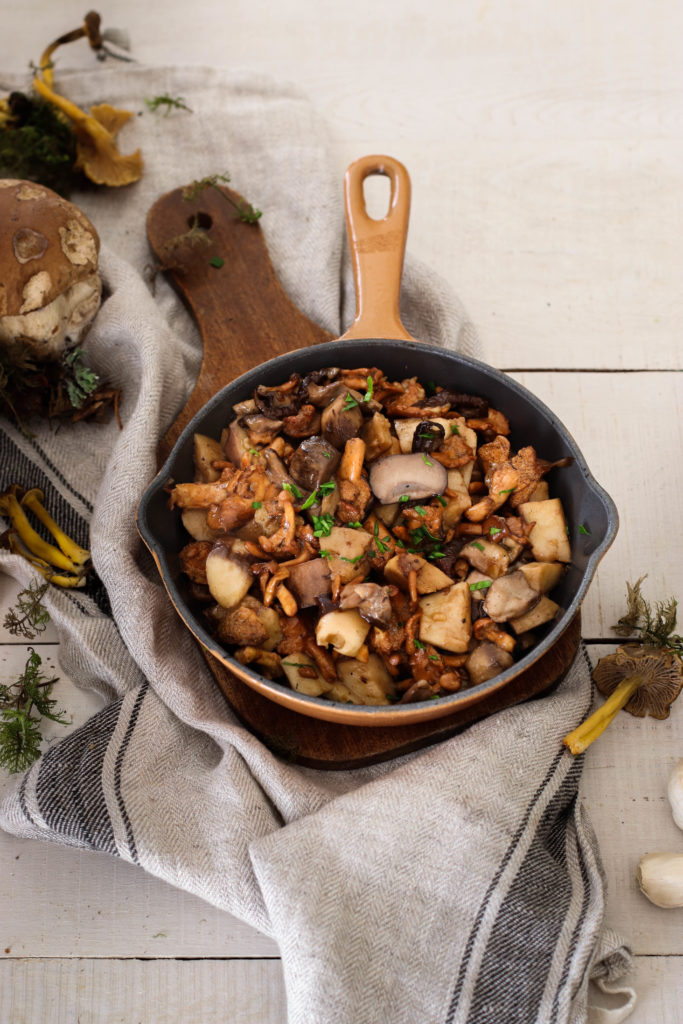 Champignons des bois