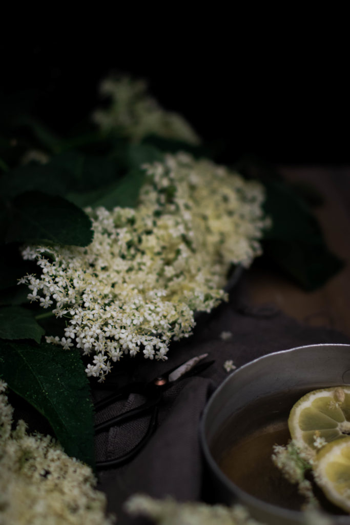fleurs de sureau