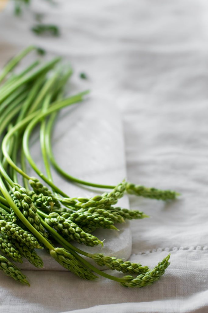 Asperges sauvages